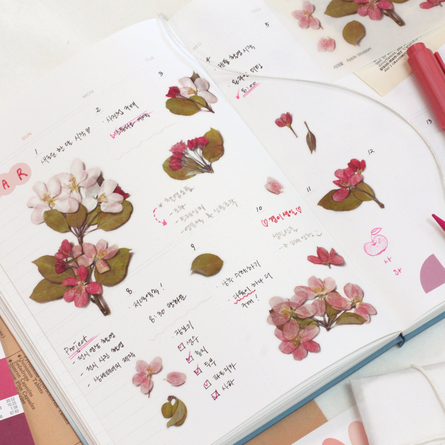 Apple Blossom Pressed Flower Stickers