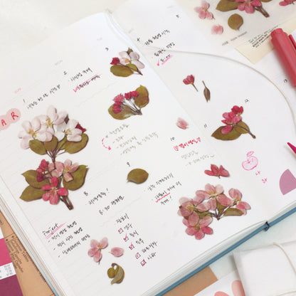 Apple Blossom Pressed Flower Stickers