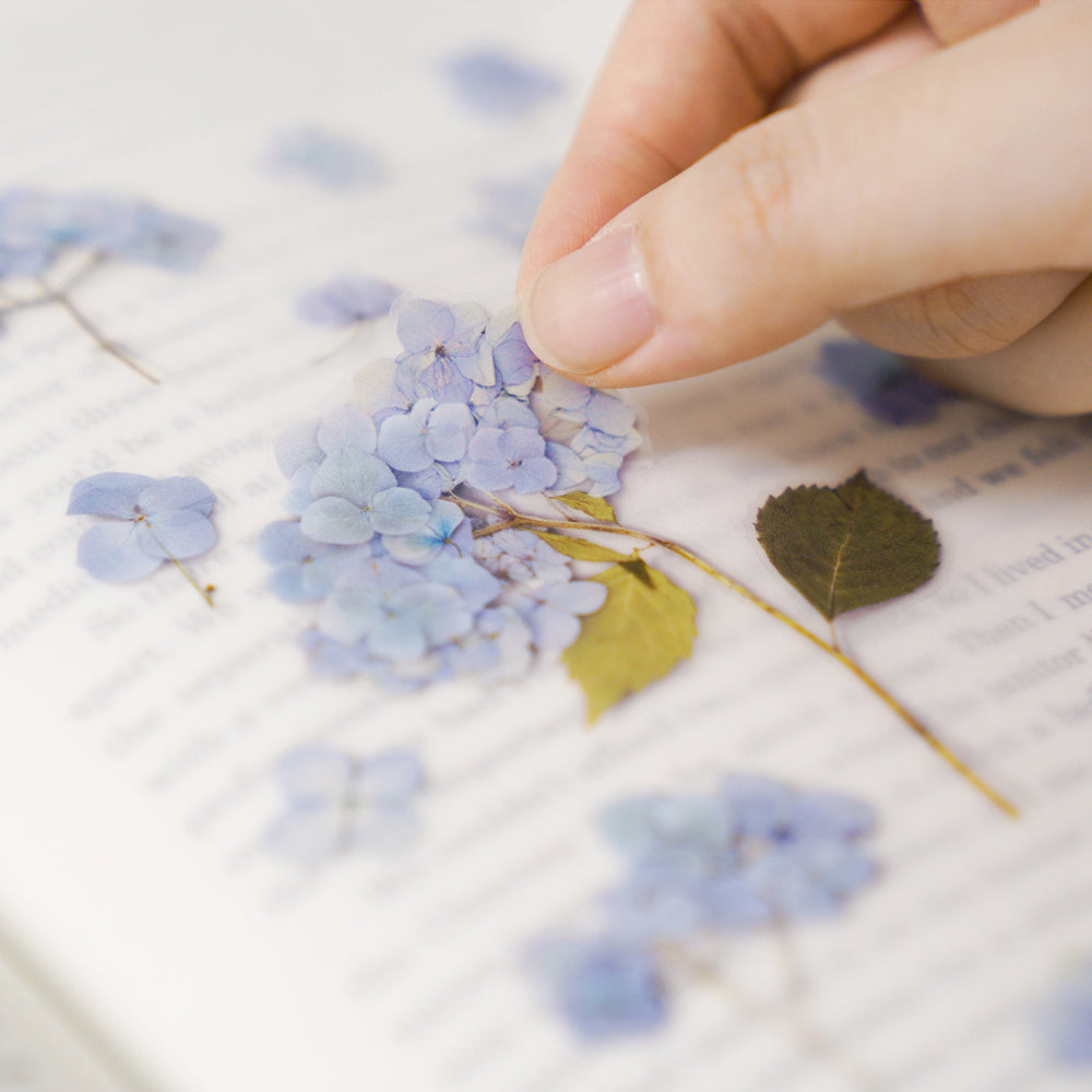 Bigleaf Hydrangea Pressed Flower Stickers