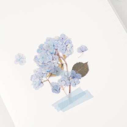 Bigleaf Hydrangea Pressed Flower Stickers