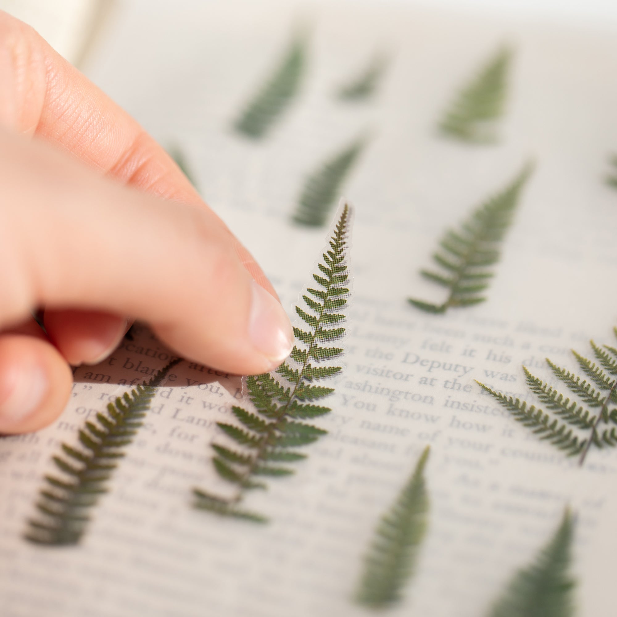 Bracken Pressed Flower Stickers