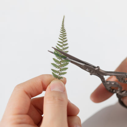 Bracken Pressed Flower Stickers