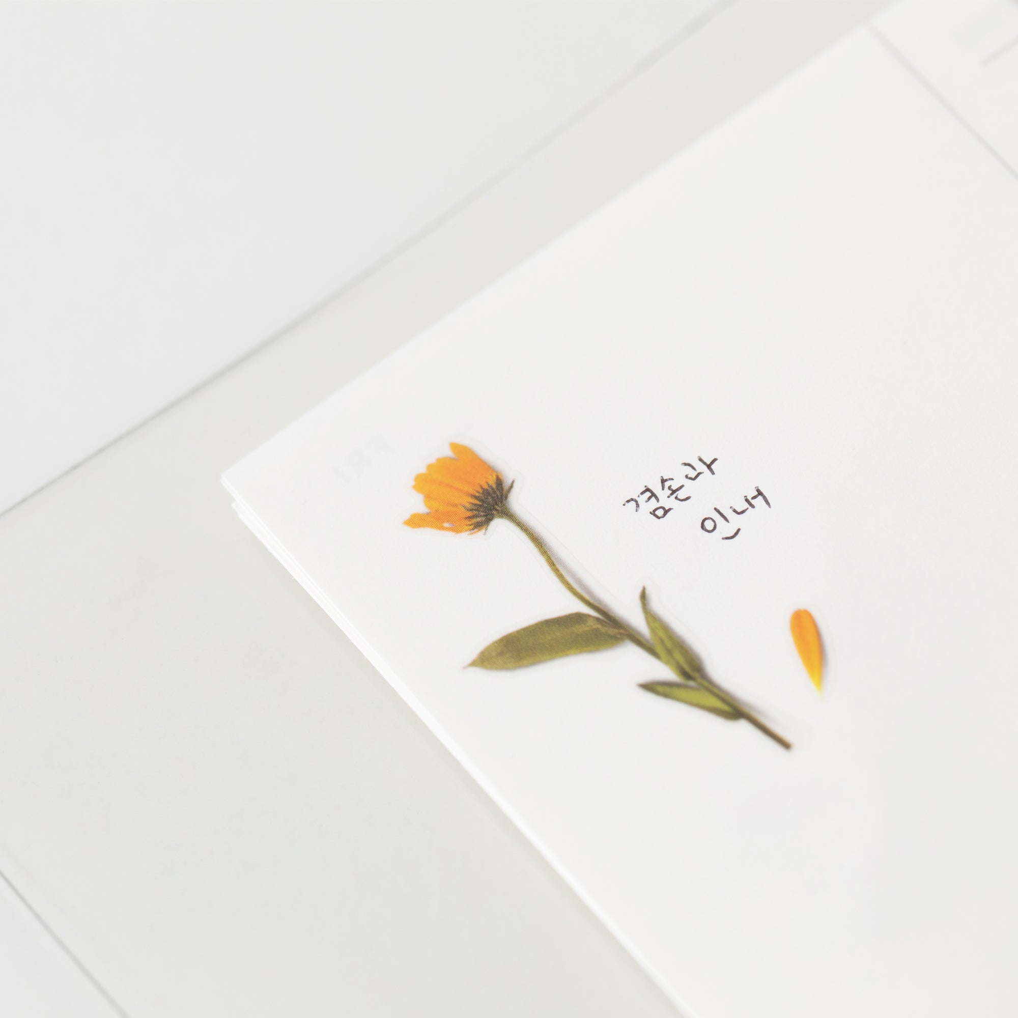 Calendula Pressed Flower Stickers