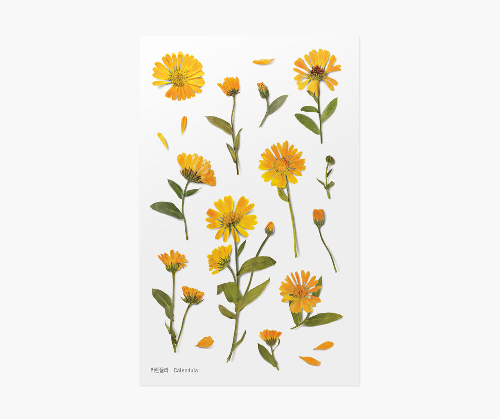 Calendula Pressed Flower Stickers