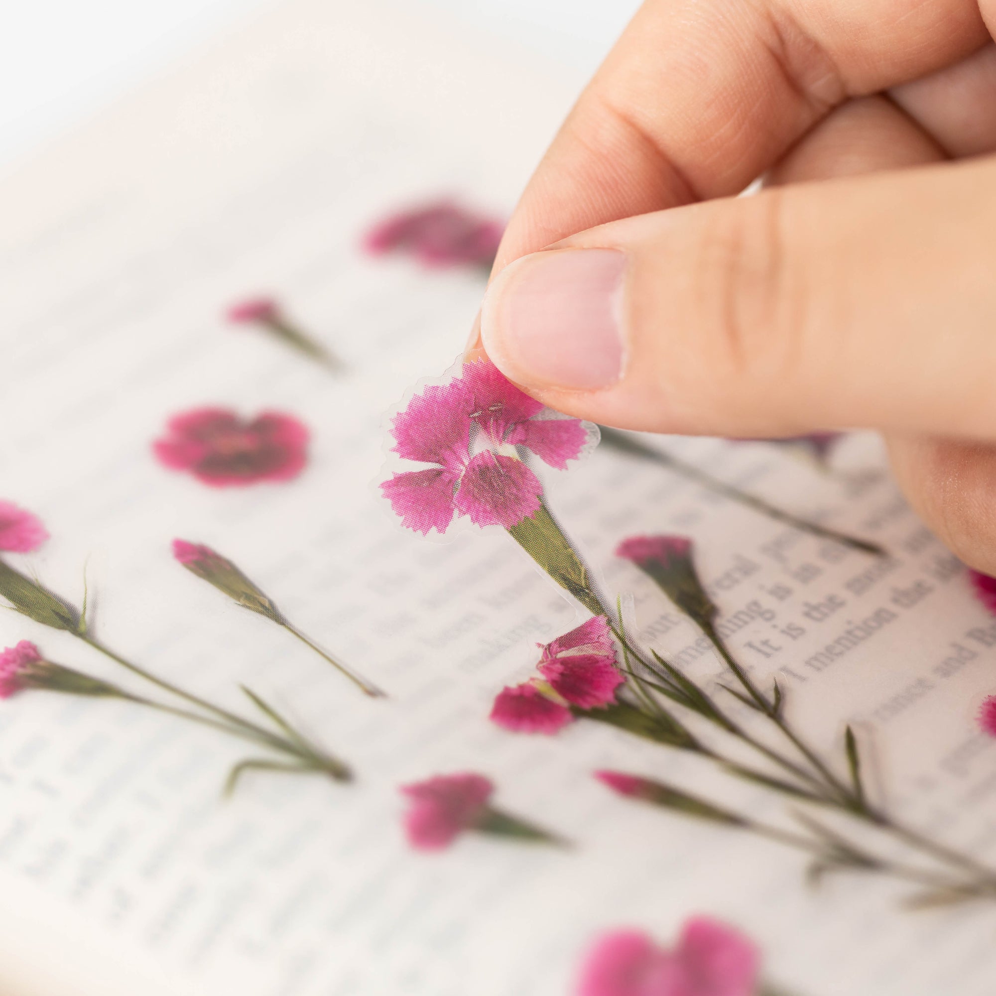 China Pink Pressed Flower Stickers