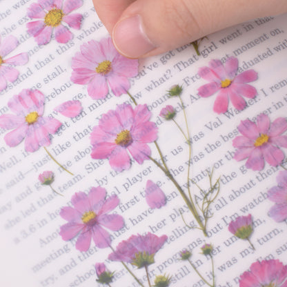 Cosmos Pressed Flower Stickers