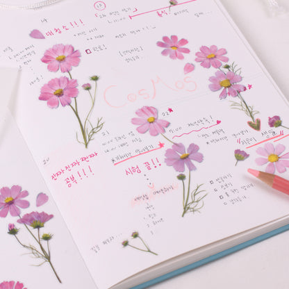 Cosmos Pressed Flower Stickers