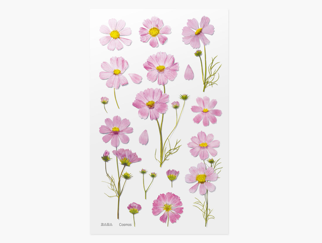 Cosmos Pressed Flower Stickers