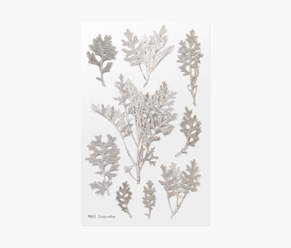 Dusty Miller Pressed Flower Stickers