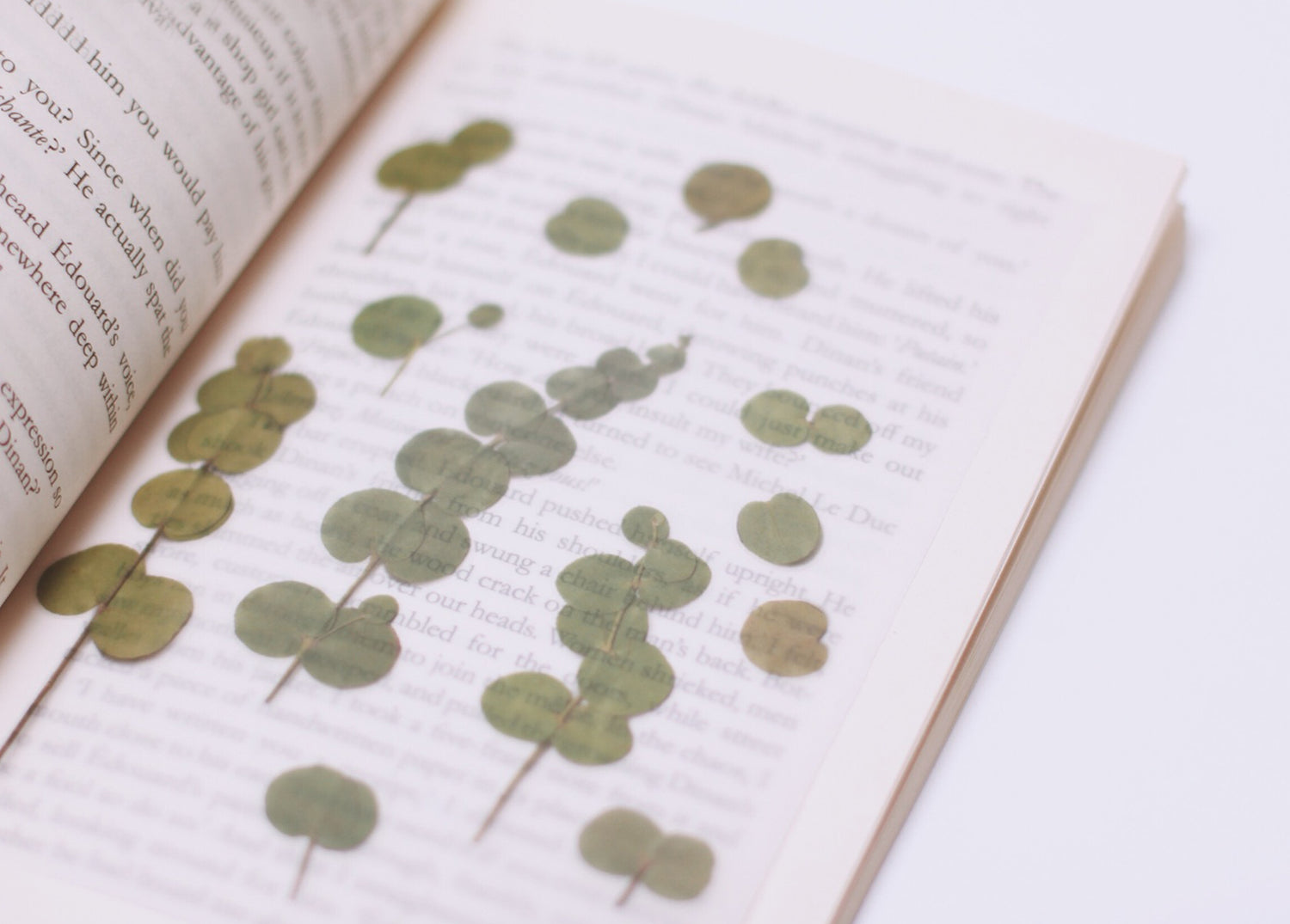 Eucalyptus Pressed Flower Stickers