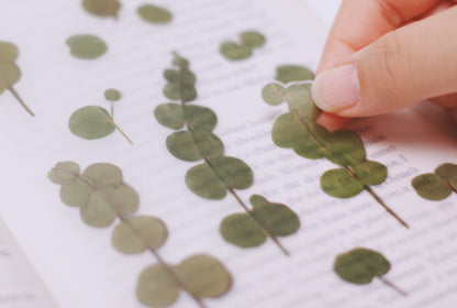 Eucalyptus Pressed Flower Stickers