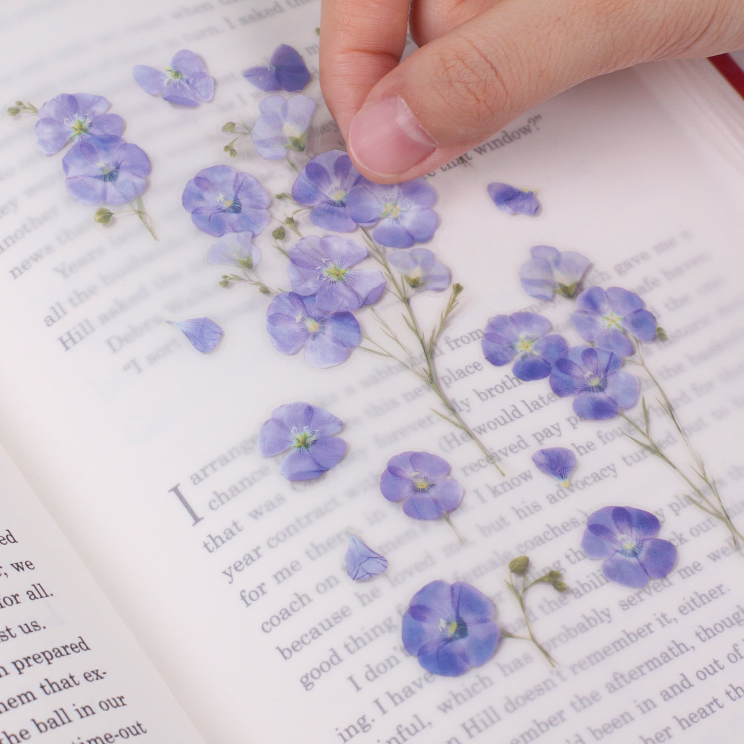 Flax Pressed Flower Stickers