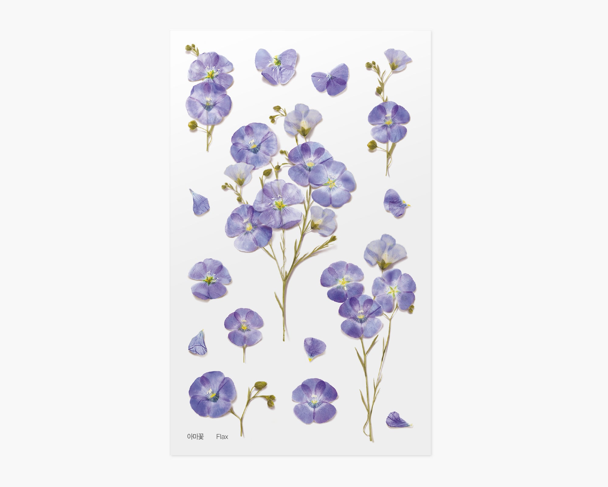 Flax Pressed Flower Stickers