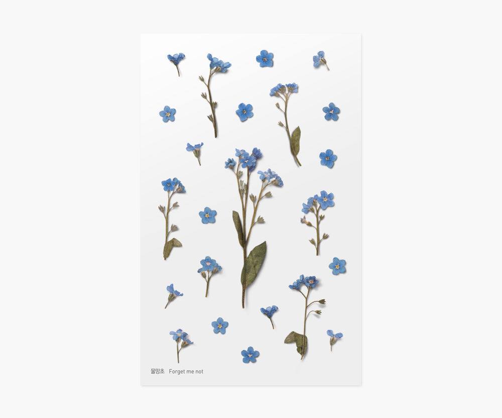 Forget-Me-Not Pressed Flower Stickers