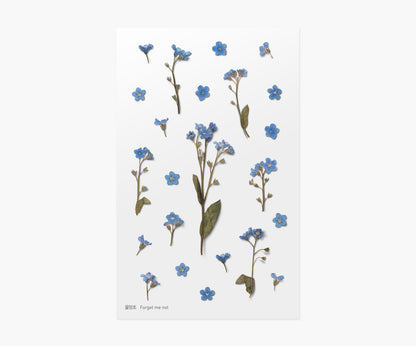 Forget-Me-Not Pressed Flower Stickers