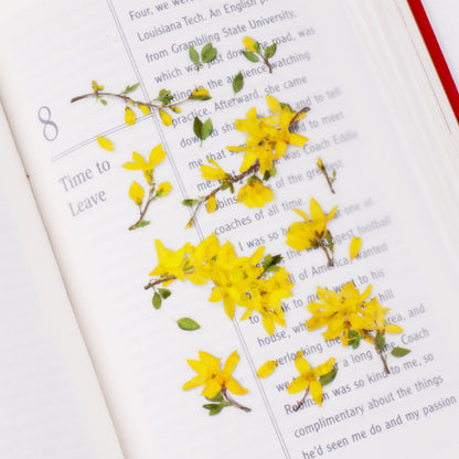 Forsythia Pressed Flower Stickers