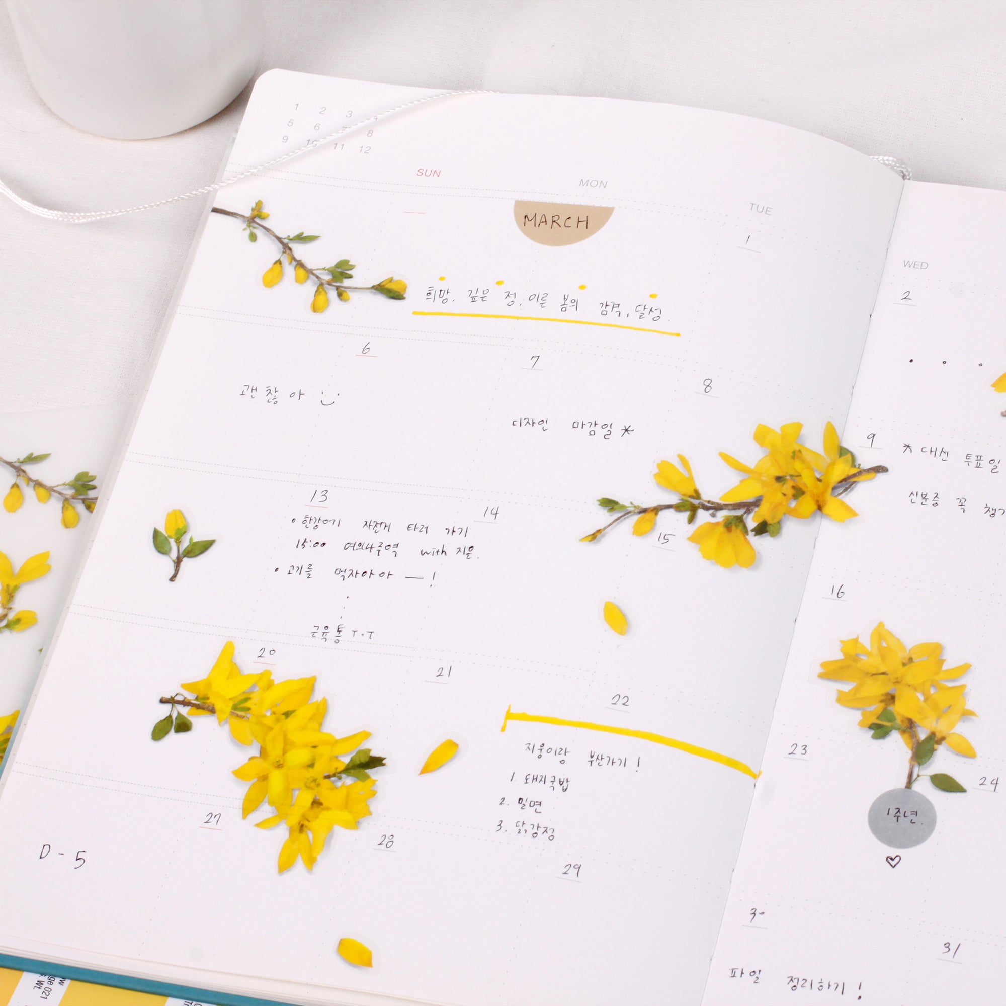 Forsythia Pressed Flower Stickers