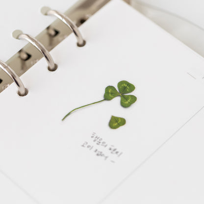 Four-Leaf Clover Pressed Flower Stickers