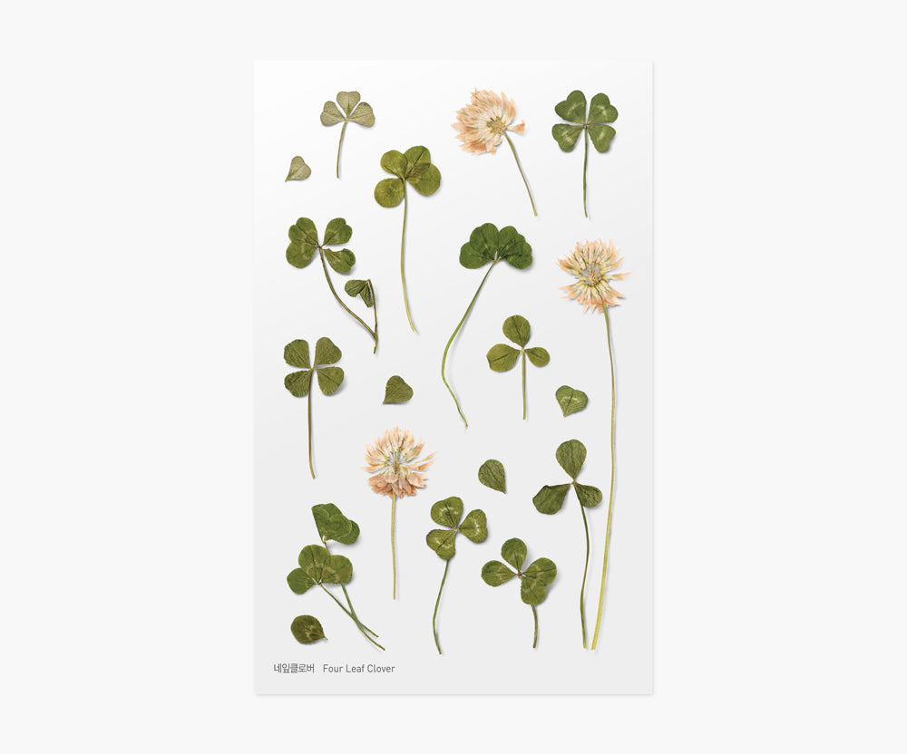 Four-Leaf Clover Pressed Flower Stickers