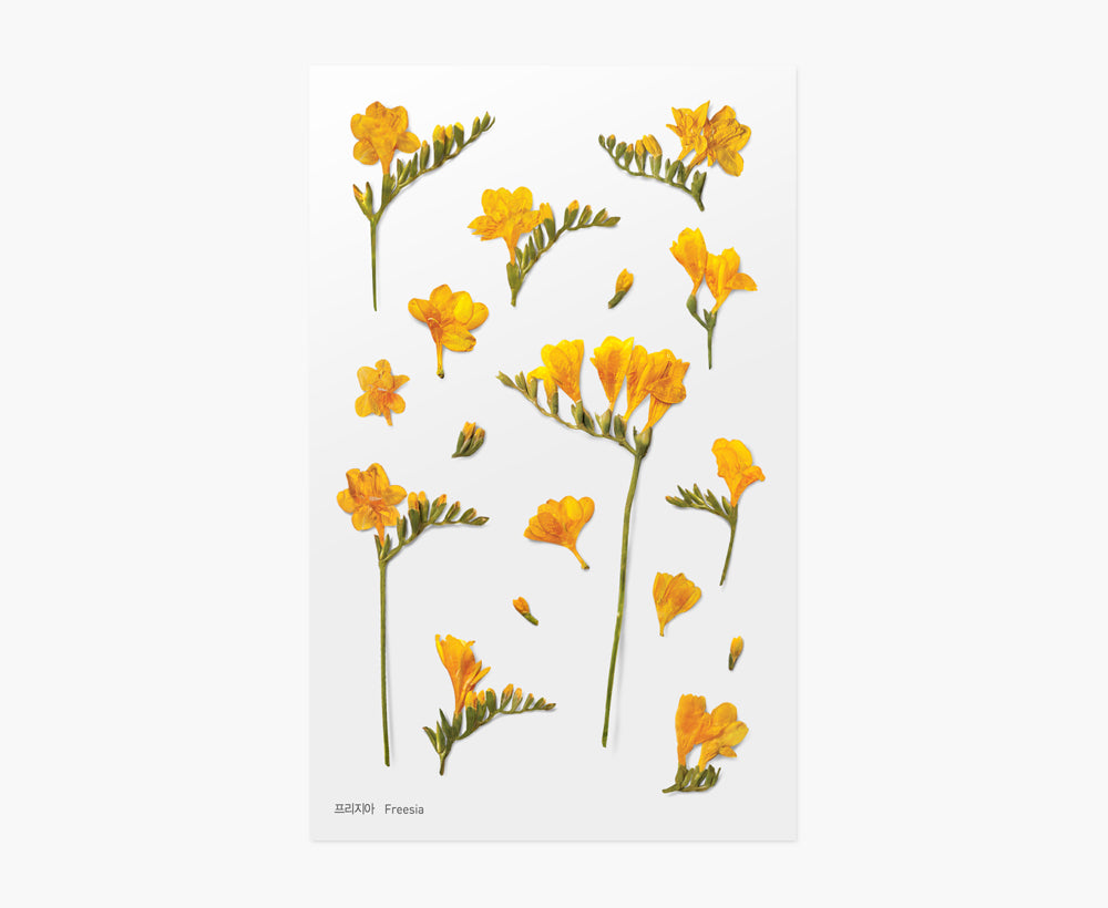 Freesia Pressed Flower Stickers