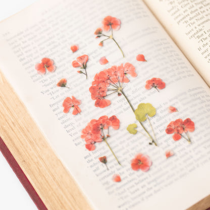 Geranium Pressed Flower Stickers