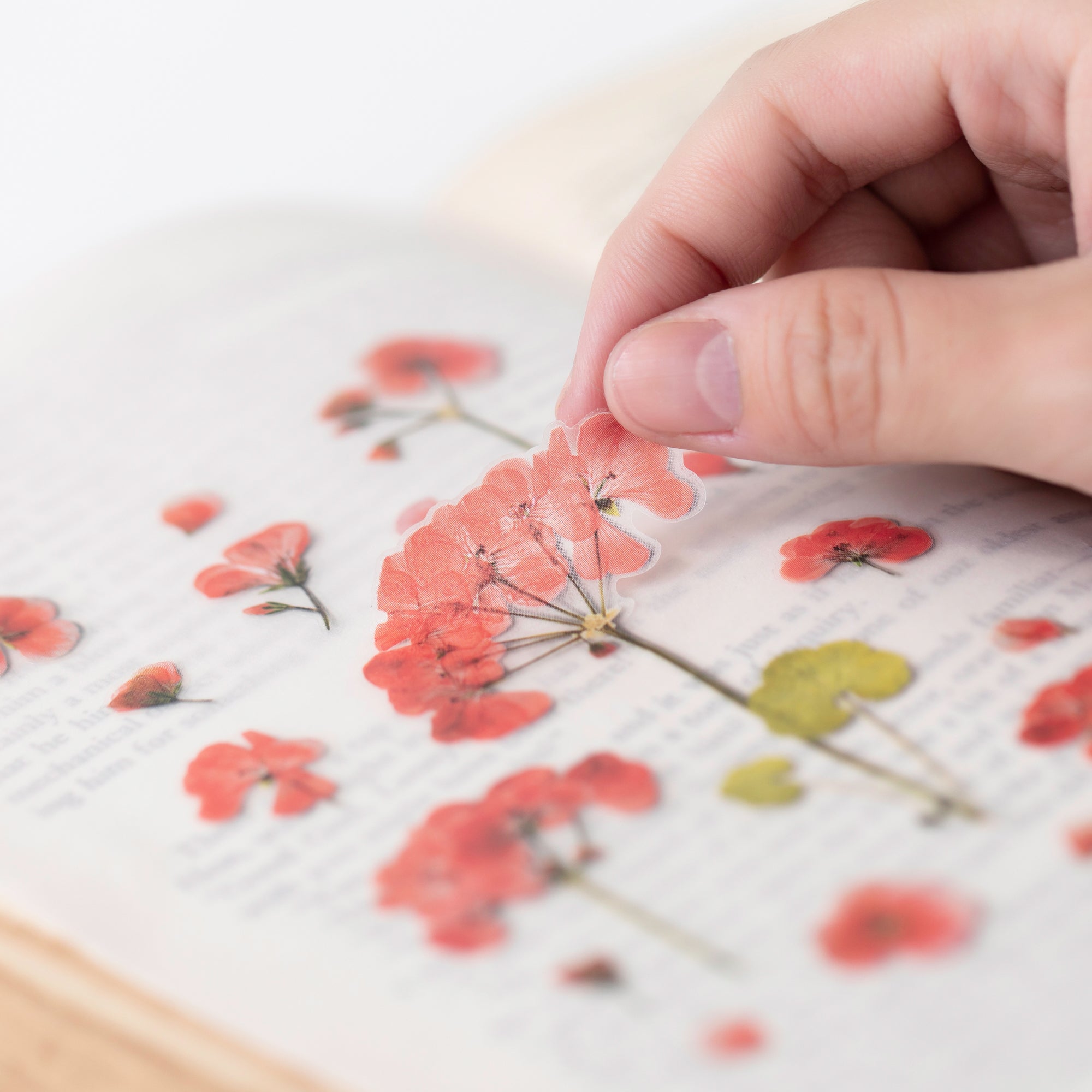 Geranium Pressed Flower Stickers