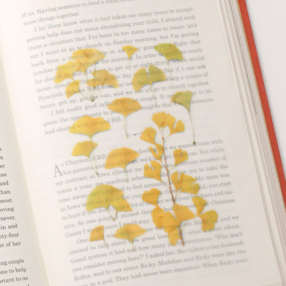 Ginkgo Pressed Flower Stickers