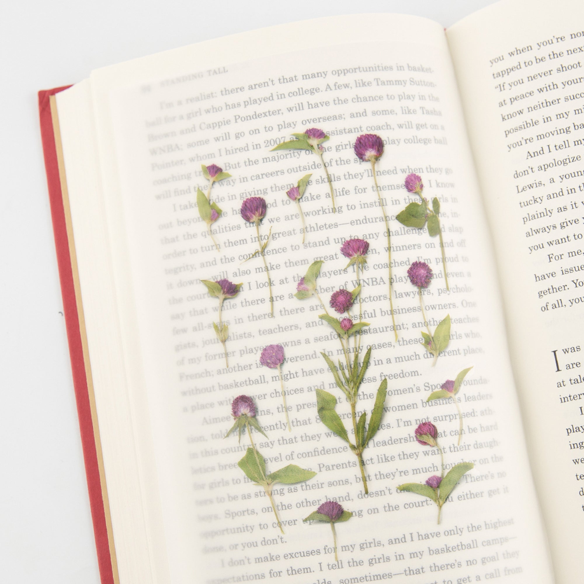 Globe Amaranth Pressed Flower Stickers