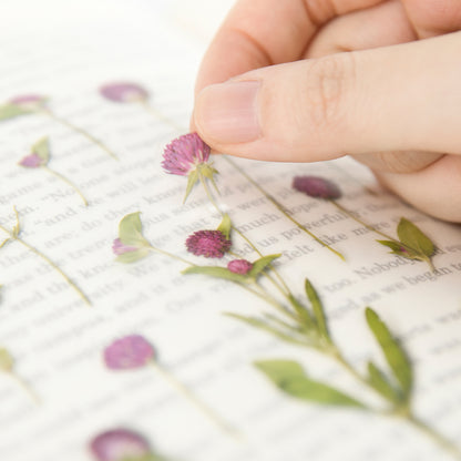 Globe Amaranth Pressed Flower Stickers