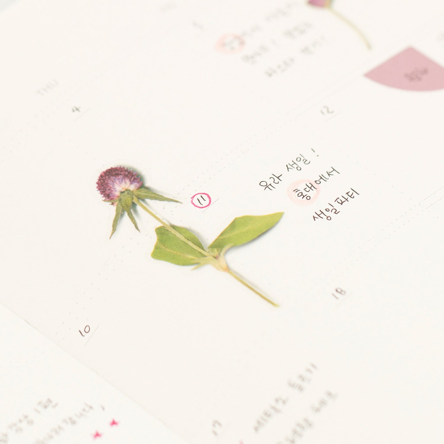 Globe Amaranth Pressed Flower Stickers