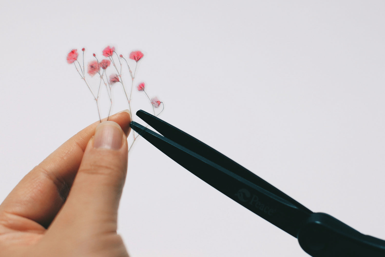 Gypsophila Pressed Flower Stickers