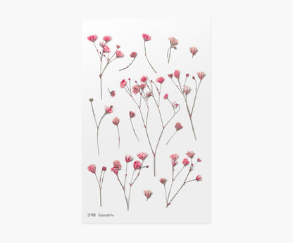 Gypsophila Pressed Flower Stickers