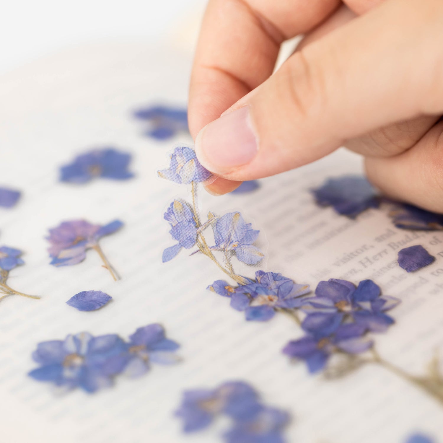 Larkspur Pressed Flower Stickers