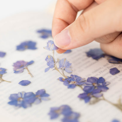 Larkspur Pressed Flower Stickers