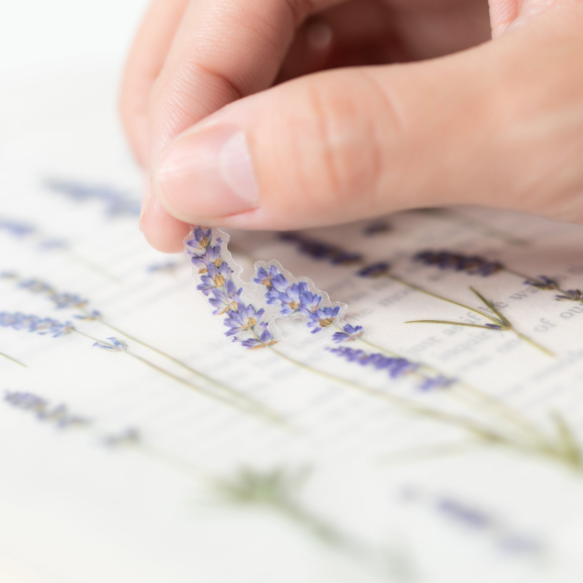 Lavender Pressed Flower Stickers