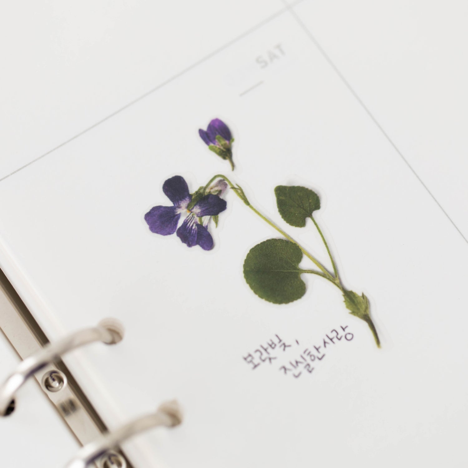 Manchurian Violet Pressed Flower Stickers