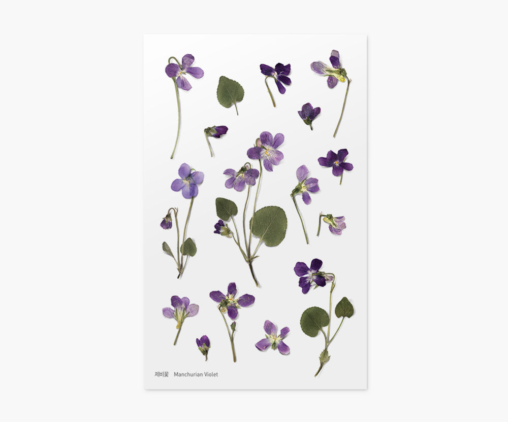 Manchurian Violet Pressed Flower Stickers