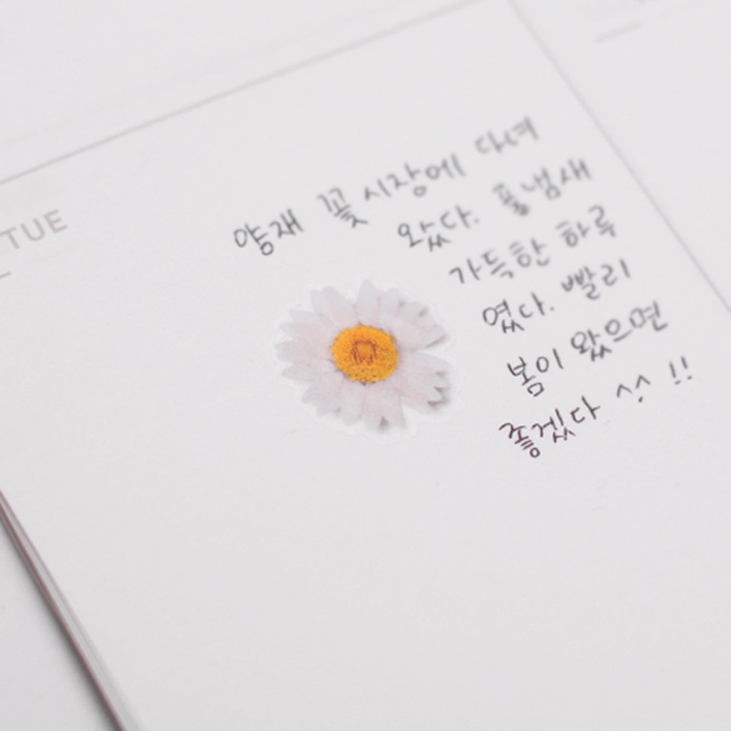 Marguerite Pressed Flower Stickers