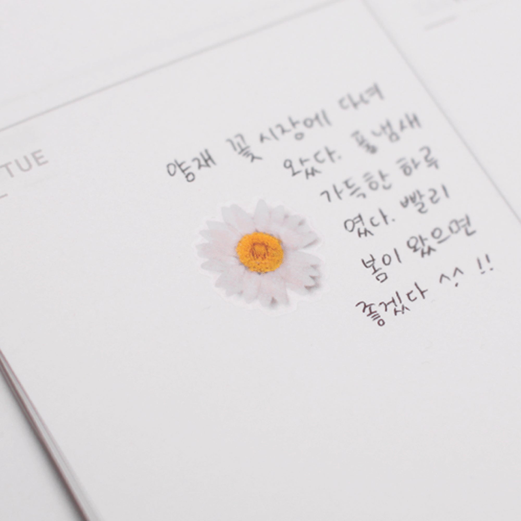 Marguerite Pressed Flower Stickers