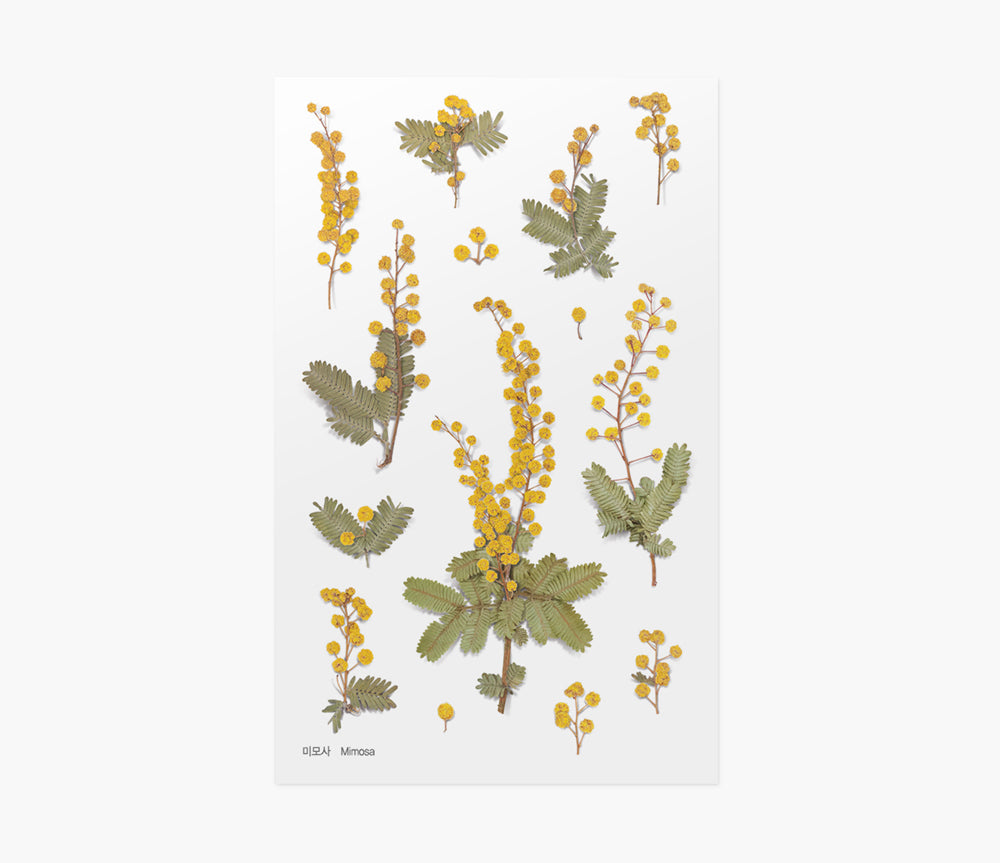 Mimosa Pressed Flower Stickers