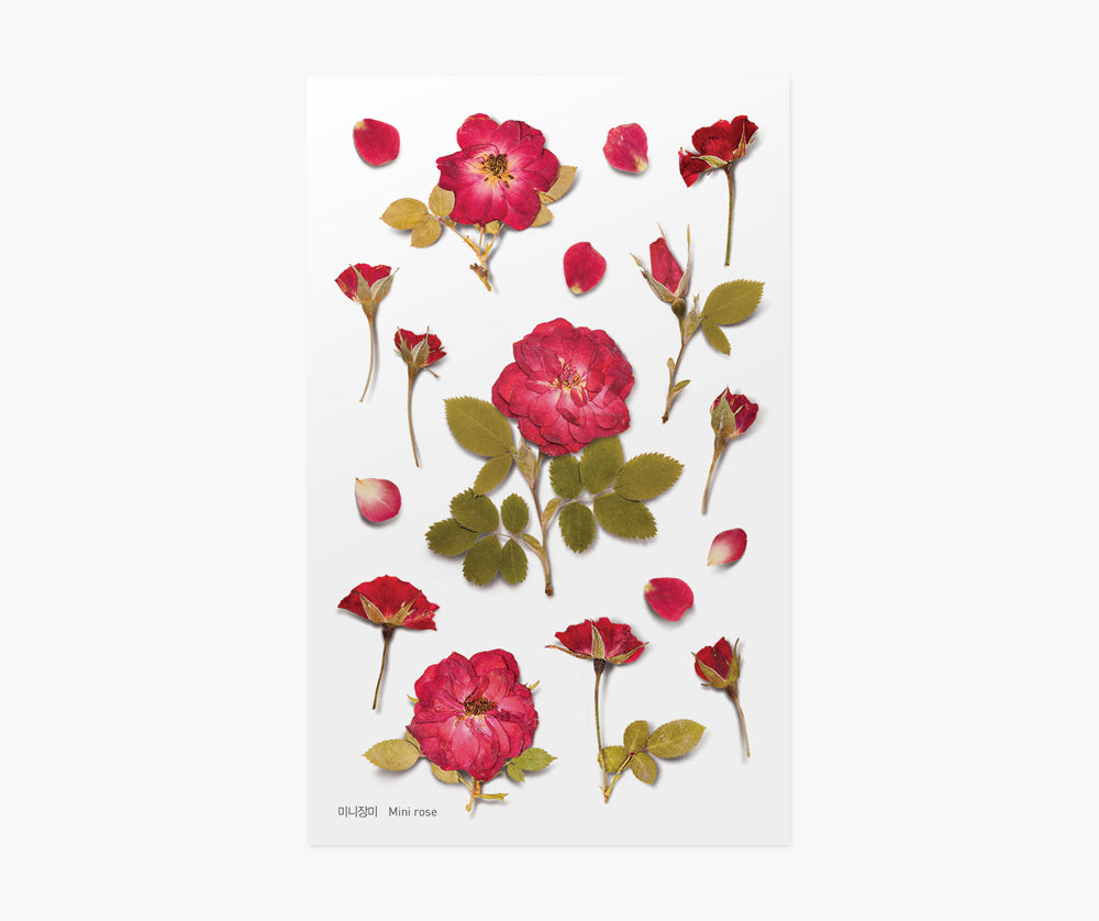 Mini Rose Pressed Flower Stickers