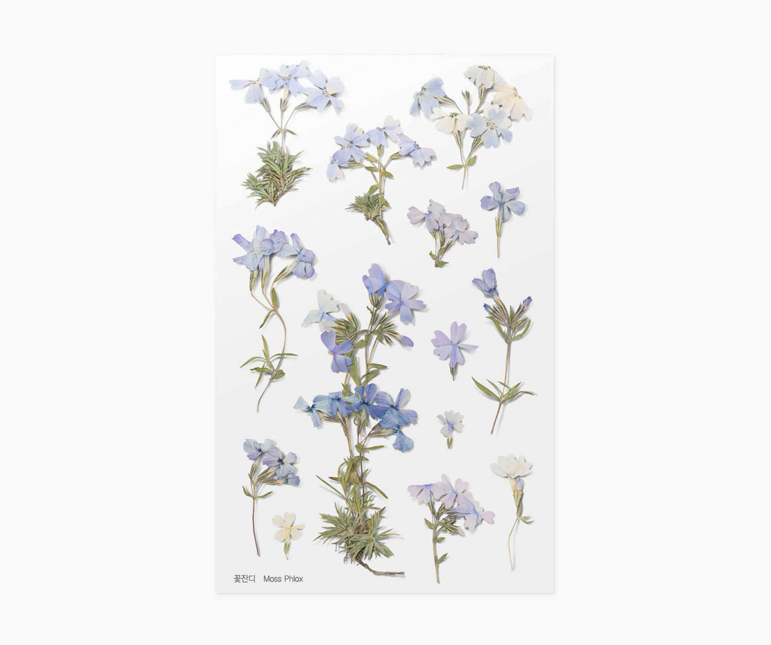 Moss Phlox Pressed Flower Stickers