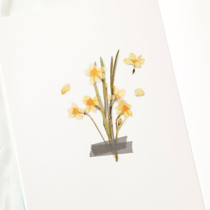 Narcissus Pressed Flower Stickers