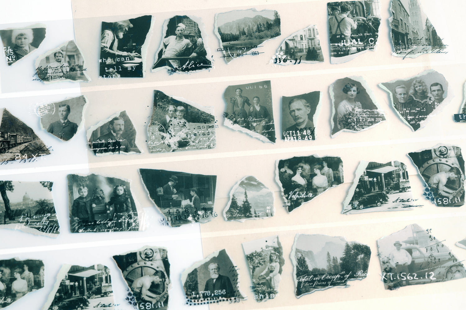 Whoopsie: Moments PET Tape