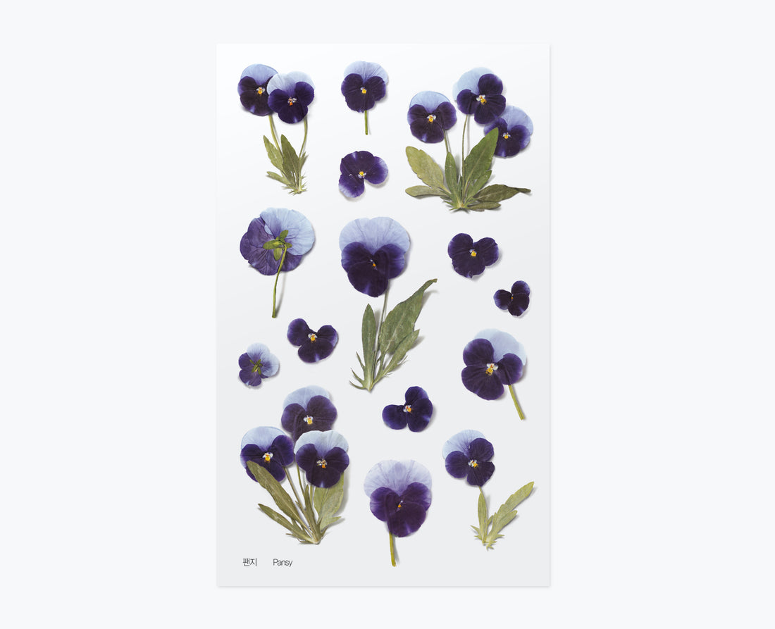 Pansy Pressed Flower Stickers