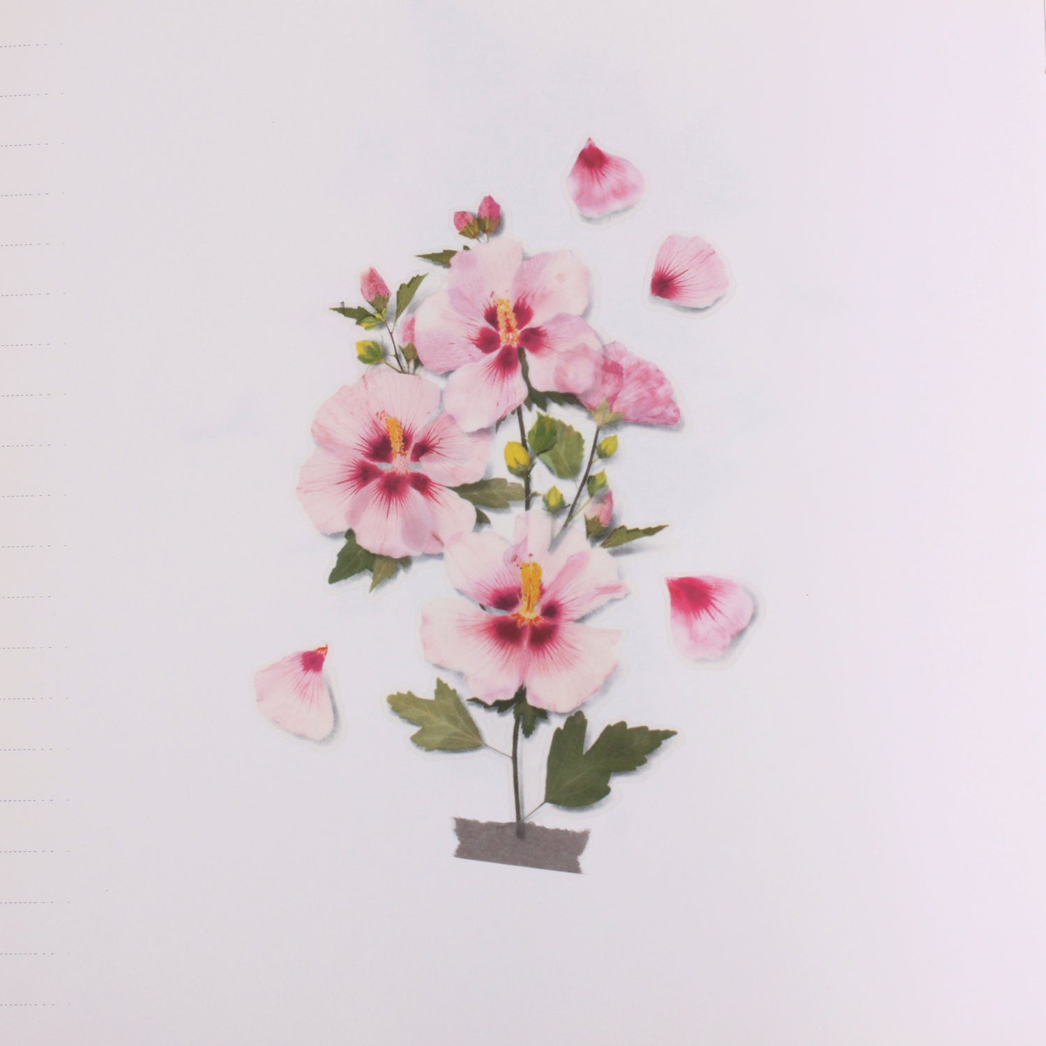 Rose of Sharon Pressed Flower Stickers