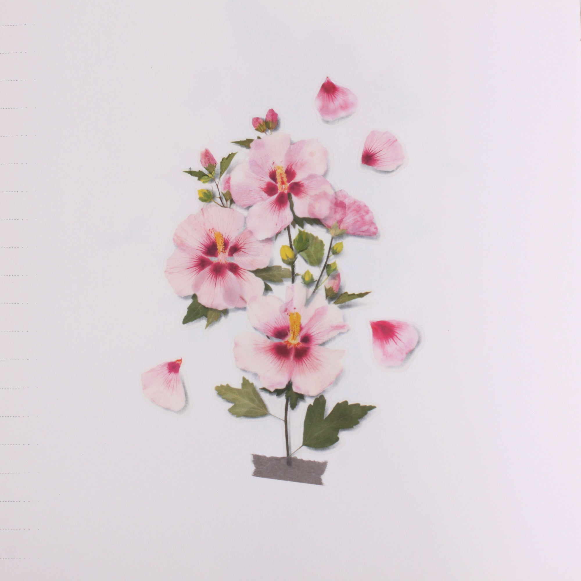 Rose of Sharon Pressed Flower Stickers