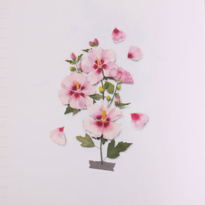 Rose of Sharon Pressed Flower Stickers