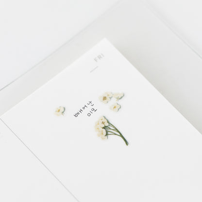 Sweet Alyssum Pressed Flower Stickers