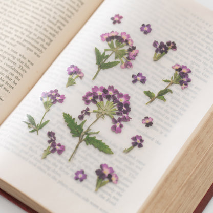 Verbena Pressed Flower Stickers